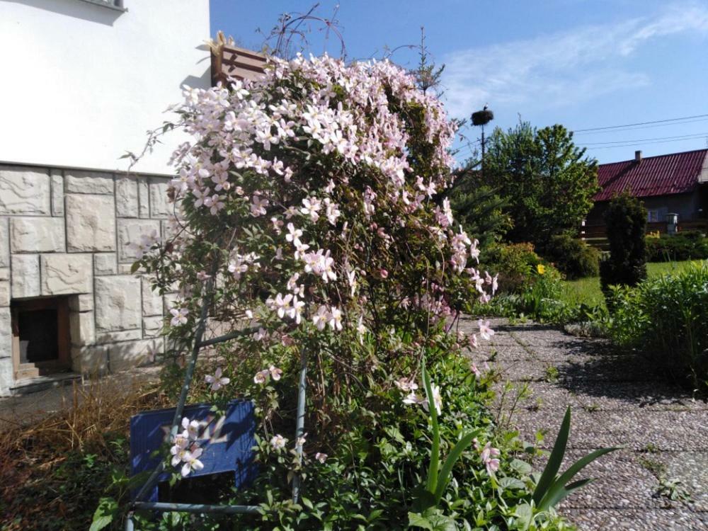 Privat U Capu V Beskydech Apartment Przno Екстериор снимка